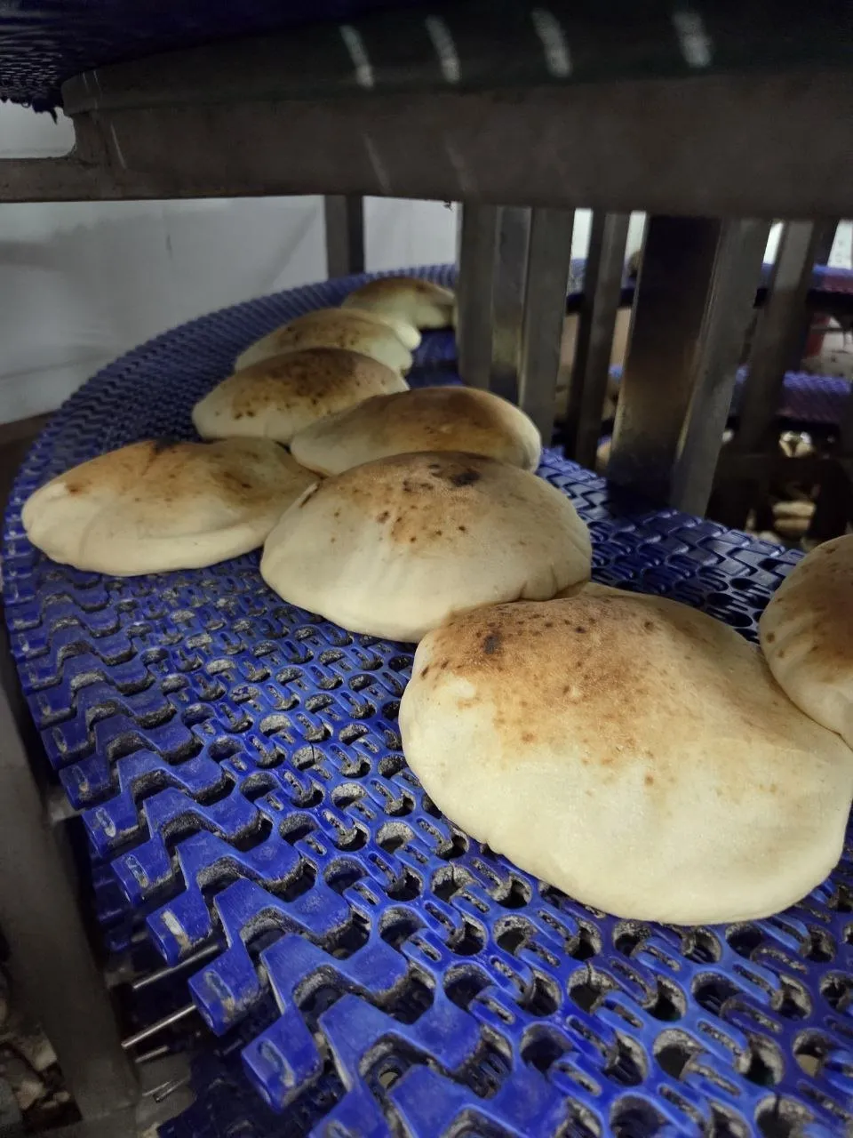 Hot pitas on the conveyor