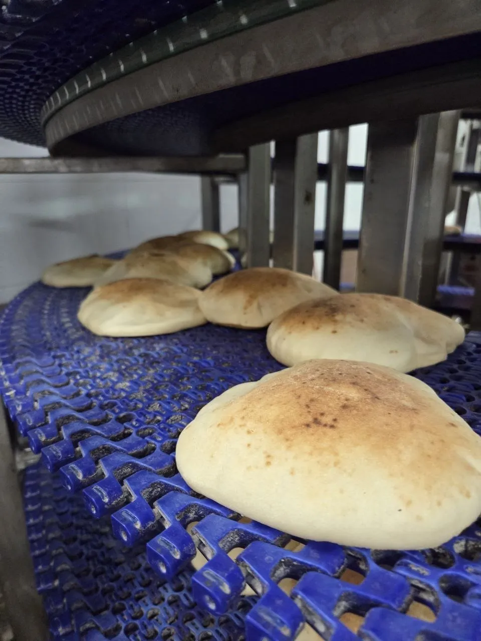 A fresh pita on the conveyor