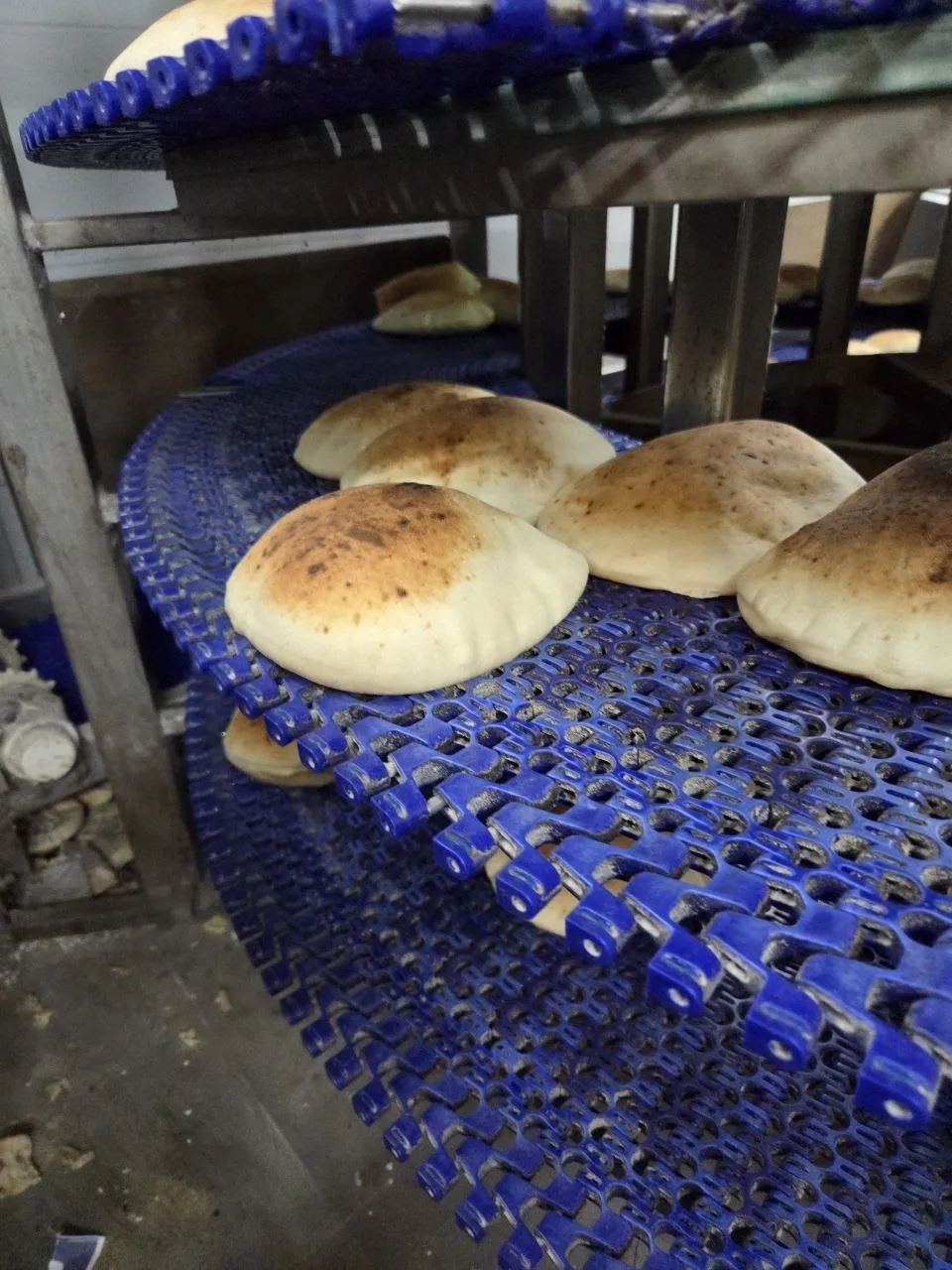 Pitas cooling on the conveyor
