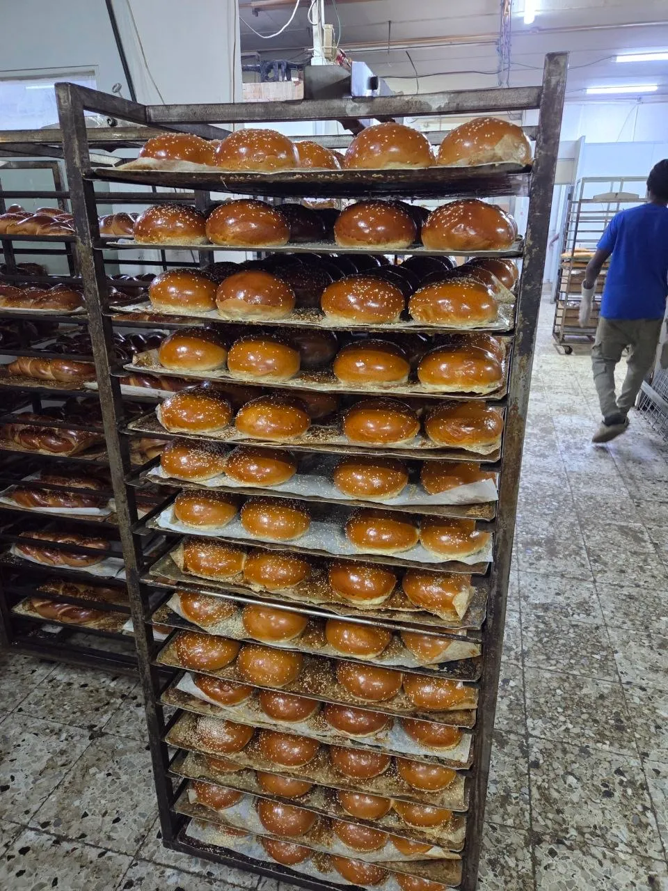A rack of sesame brioche buns