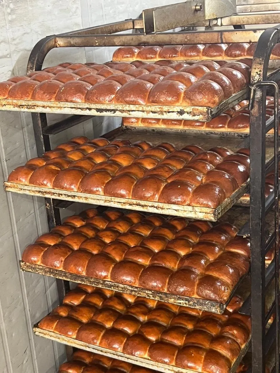 Trays of pull-apart rolls, straight from the oven