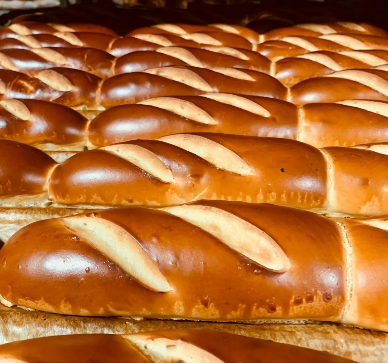 Glossy hot dog rolls on the tray