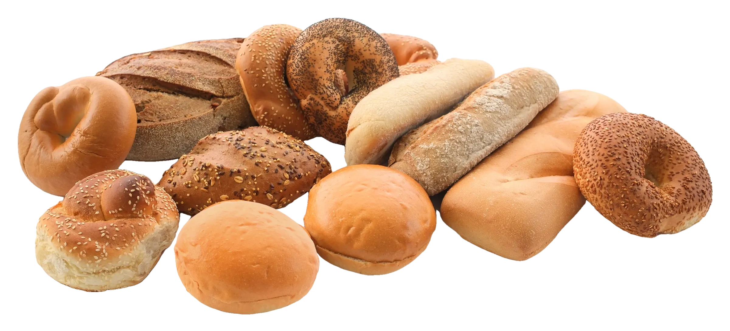 Buns, bagels, batons and a sourdough loaf from the catalog