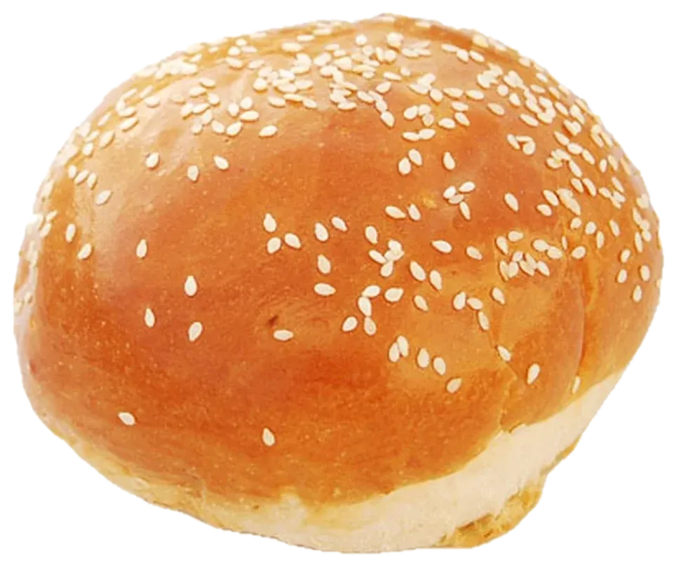 בורגר שומשום 100 ג׳